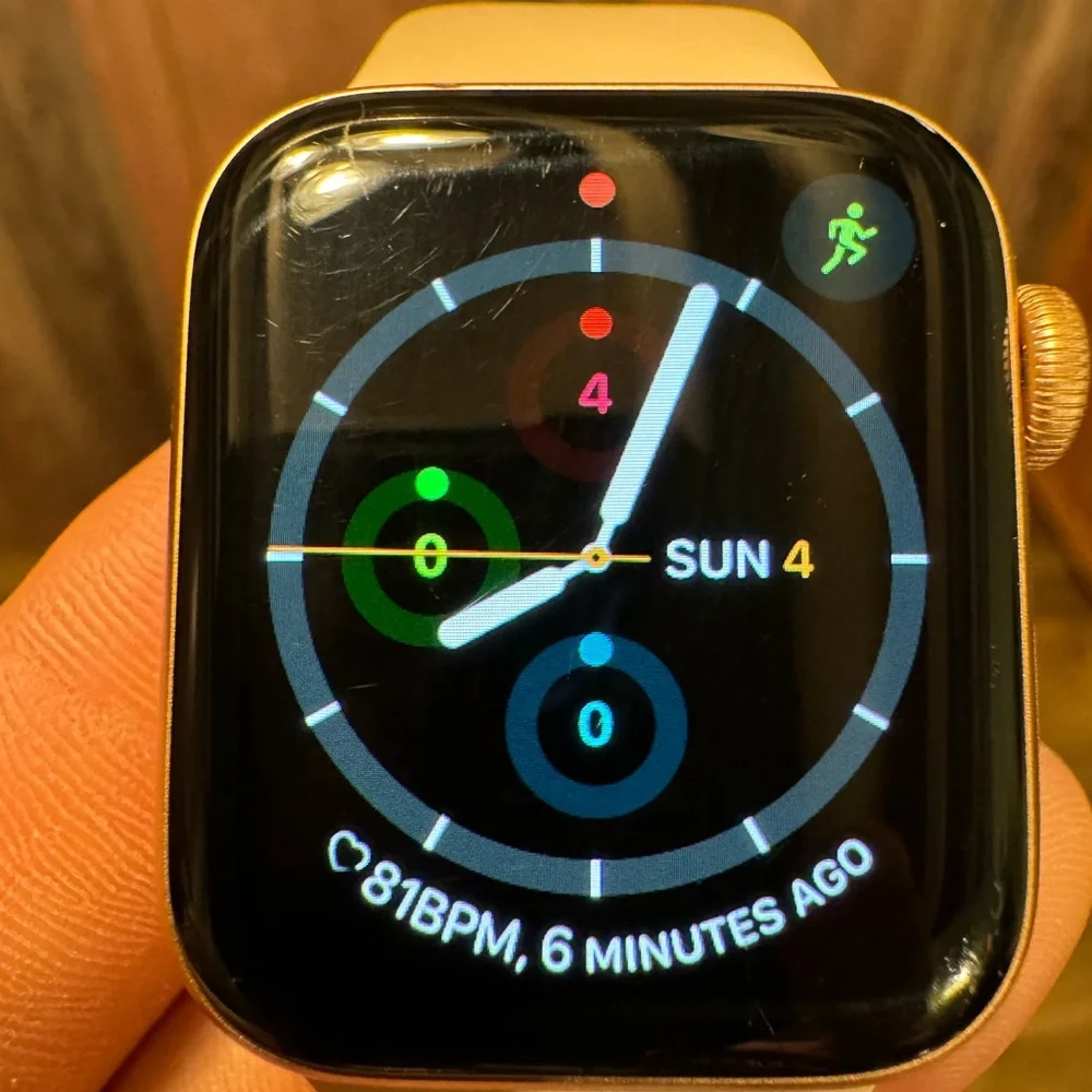 Apple Watch Series 5 w/ 3 extra braided bands and dual charger